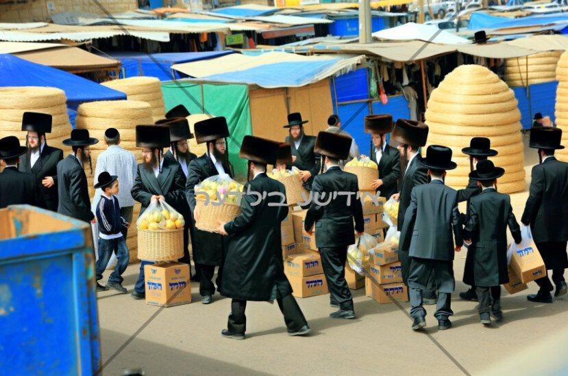 מכירת אתרוגים